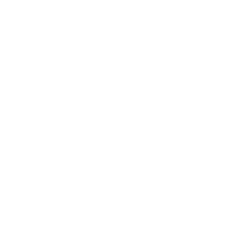 Keep Value Icon